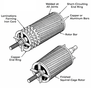 Squirrel Cage Rotor Construction with Bars and End Rings